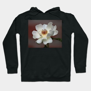 White Rose Hoodie